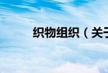 織物組織（關(guān)于織物組織的介紹）