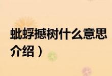 蚍蜉撼樹什么意思（關(guān)于蚍蜉撼樹什么意思的介紹）