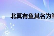 北冥有魚(yú)其名為鯤完整版（北冥有魚(yú)）