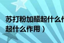 蘇打粉加醋起什么作用通下水道（蘇打粉加醋起什么作用）