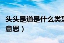 頭頭是道是什么類型的成語(yǔ)（頭頭是道是什么意思）