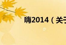 嗨2014（關(guān)于嗨2014的介紹）
