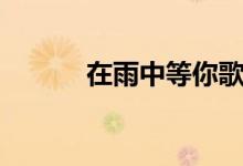 在雨中等你歌曲(在雨中等你)