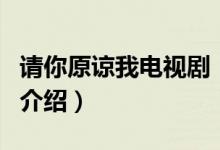 請你原諒我電視?。P(guān)于請你原諒我電視劇的介紹）