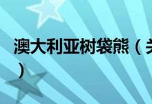 澳大利亞樹袋熊（關(guān)于澳大利亞樹袋熊的介紹）