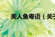 美人魚粵語（關(guān)于美人魚粵語的介紹）