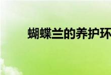 蝴蝶蘭的養(yǎng)護(hù)環(huán)境（蝴蝶蘭的養(yǎng)護(hù)）