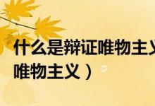 什么是辯證唯物主義的基本觀點(什么是辯證唯物主義)