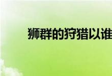 獅群的狩獵以誰為主(獅群的狩獵)