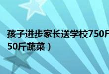 孩子進(jìn)步家長(zhǎng)送學(xué)校750斤蔬菜過(guò)程（孩子進(jìn)步家長(zhǎng)送學(xué)校750斤蔬菜）