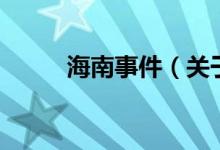 海南事件（關于海南事件的介紹）