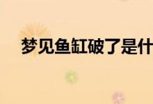 夢見魚缸破了是什么征兆（夢見魚吃人）