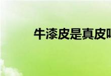 牛漆皮是真皮嗎掉漆嗎（牛漆皮）