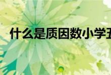 什么是質(zhì)因數(shù)小學(xué)五年級（什么是質(zhì)因數(shù)）
