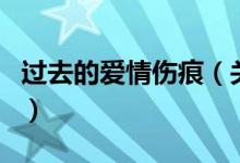 過去的愛情傷痕(關(guān)于過去的愛情傷痕的介紹)