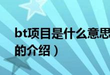 bt項目是什么意思（關(guān)于bt項目是什么意思的介紹）