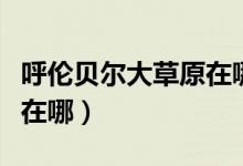 呼倫貝爾大草原在哪個(gè)位置（呼倫貝爾大草原在哪）