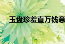 玉盤珍羞直萬(wàn)錢意思（玉盤珍羞值萬(wàn)錢）