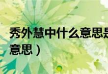 秀外慧中什么意思是形容女嗎(秀外慧中什么意思)