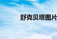 舒克貝塔圖片(舒克貝塔歌詞)