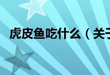 虎皮魚(yú)吃什么（關(guān)于虎皮魚(yú)吃什么的介紹）