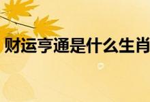 財(cái)運(yùn)亨通是什么生肖（財(cái)運(yùn)亨通是什么意思）