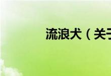 流浪犬（關(guān)于流浪犬的介紹）