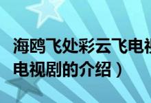 海鷗飛處彩云飛電視?。P(guān)于海鷗飛處彩云飛電視劇的介紹）