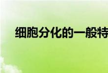 細(xì)胞分化的一般特征(細(xì)胞分化的意義)