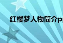紅樓夢人物簡介ppt（紅樓夢人物簡介）