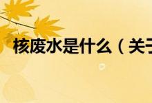 核廢水是什么(關(guān)于核廢水是什么的介紹)
