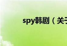 spy韓?。P(guān)于spy韓劇的介紹）