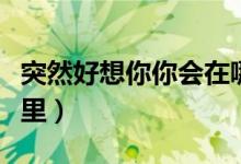 突然好想你你會(huì)在哪里（突然好想你你會(huì)在哪里）