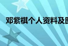 鄧紫棋個人資料及圖片（鄧紫棋個人資料）