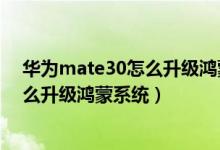 華為mate30怎么升級鴻蒙系統(tǒng)沒有指紋（華為mate30怎么升級鴻蒙系統(tǒng)）