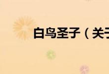 白鳥(niǎo)圣子（關(guān)于白鳥(niǎo)圣子的介紹）