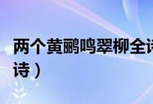 兩個(gè)黃鸝鳴翠柳全詩(shī)講解（兩個(gè)黃鸝鳴翠柳全詩(shī)）