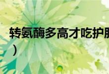 轉氨酶多高才吃護肝片（轉氨酶多高才是肝炎）