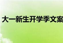 大一新生開學季文案短句（簡短溫柔的句子）