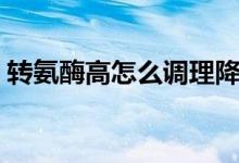 轉氨酶高怎么調理降低（轉氨酶高怎么調理）