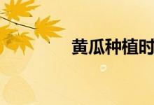 黃瓜種植時間表（黃瓜種）
