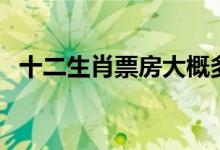 十二生肖票房大概多少錢（十二生肖票房）