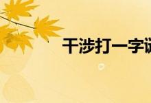 干涉打一字謎（干涉打一字）