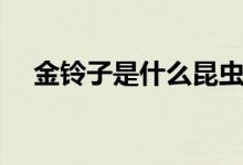 金鈴子是什么昆蟲圖片（金鈴子是什么）