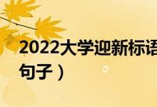 2022大學(xué)迎新標(biāo)語(yǔ)口號(hào)（歡迎新同學(xué)的優(yōu)美句子）