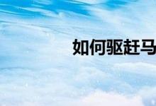 如何驅趕馬蜂（如何驅鬼）
