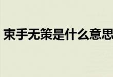 束手無(wú)策是什么意思（束手無(wú)策是什么意思）