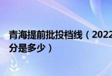 青海提前批投檔線（2022青海高考提前本科批C段投檔最低分是多少）