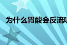 為什么胃酸會反流呢（為什么胃酸會反流）