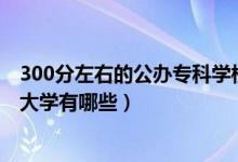 300分左右的公辦?？茖W(xué)校（2022年300分左右的公辦?？拼髮W(xué)有哪些）